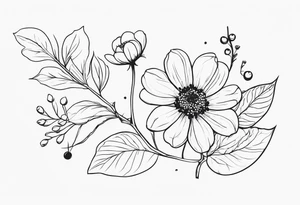 minimalist s-curve of cosmos flower, and rowan tree berries tattoo idea