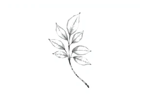 Bay leaf tattoo idea