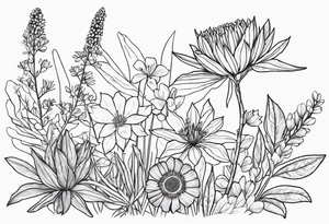 Pilbara region native plants and flowers, Kimberley region native plants and flowers less detail tattoo idea