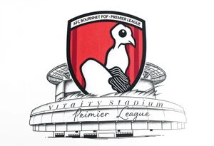 An afc Bournemouth badge fading into the top of the vitality stadium with writing of afc Bournemouth’s journey to the premier league and Steve fletcher celebrating tattoo idea