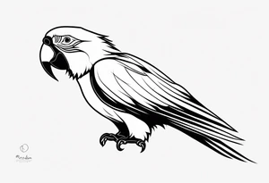 Macaw tattoo idea