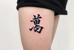 二千六年十二月三十日 in kanjis sosho thin lines tattoo idea