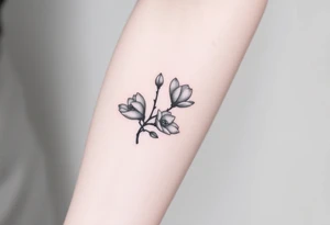 Branch with few magnolia flowers, in different blossom stages with botanical details tattoo idea