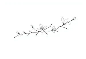 Magnolia branch long with different small half opened flowers, botanical details tattoo idea