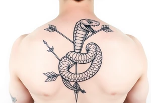 snake with arrow with around chest
, tattoo idea