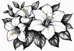 white background, abstract mandevilla flowers on a vine, not as much stamen tattoo idea