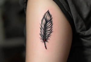 A single eagle feather in gray and black, tied with a red leather strand. tattoo idea