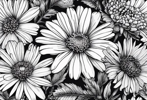 botanical illustration of aster, daisy, and carnations tattoo idea