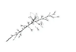 Graceful long magnolia branch with small flowers in early blossom stage with closed flowers tattoo idea
