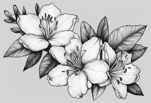 5-petal Azaleas, spread out along a long branch tattoo idea