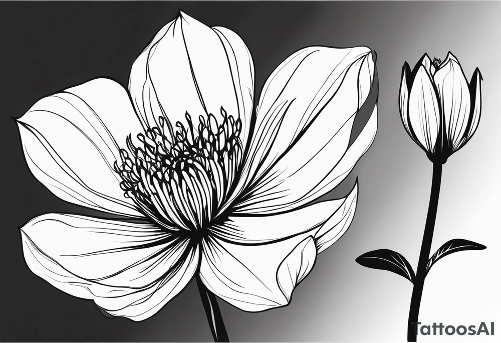 one very simple and no detailed waratha flower with stem in black and white tattoo idea