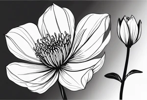 one very simple and no detailed waratha flower with stem in black and white tattoo idea