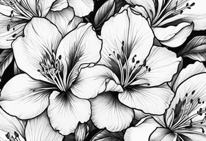 Azalea flowers Fine-Line with dark shading tattoo idea