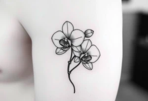 A delicate, black and white fine-line tattoo for make, featuring a gracefully detailed orchid stem with two flowers in full bloom, with soft, intricate petals and elegant curves tattoo idea