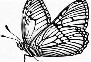butterfly small tattoo idea
