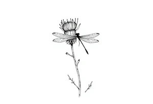 minimaliste thistle with dragonfly text : dinna fash tattoo idea