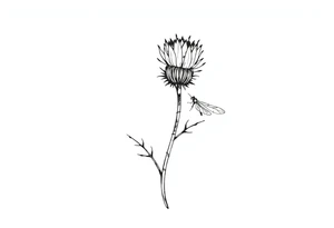 minimaliste thistle with dragonfly text : dinna fash tattoo idea