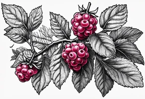 a long raspberry branch that focuses on line work. Includes a small signature in the branches that says "Popkin" tattoo idea