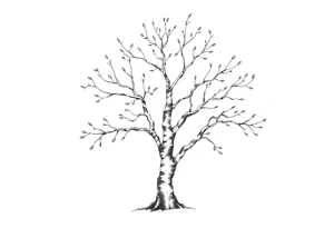 birch tree tattoo idea