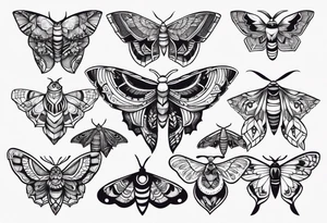 Variety of moths style flash sheet tattoo idea