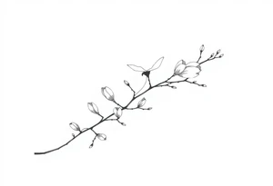 Magnolia branch long with different small almost closed flowers, with botanical details and dots tattoo idea