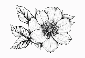 Platycodon grandiflorus goes around the arm tattoo idea