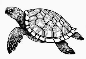 Turtle and sea star tattoo idea