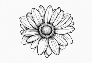 Daisy blossom top view tattoo idea