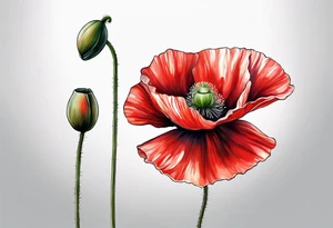 One Red poppy flower with long stem tattoo idea