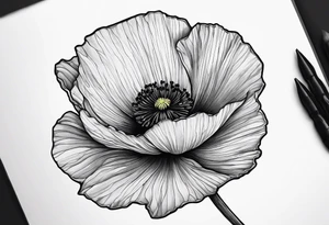 poppy plant growing out of sharp rock tattoo idea