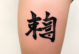 30 12 2006 in kanji sosho for a man tattoo idea