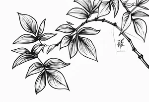 bamboo branch, monsteria leaf, bouganvillea tattoo idea