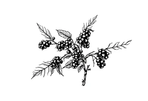 American traditional style Blackberry branch tattoo idea
