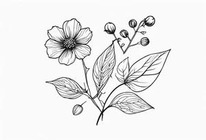 minimalist s-curve of cosmos flower, and rowan tree berries tattoo idea