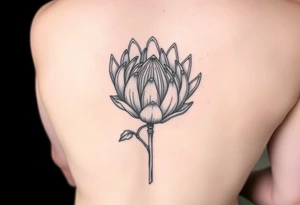 Protea flower tattoo idea