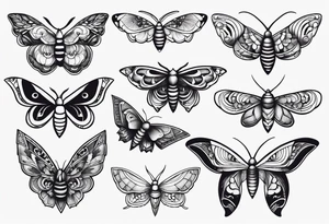 Variety of moths style flash sheet tattoo idea