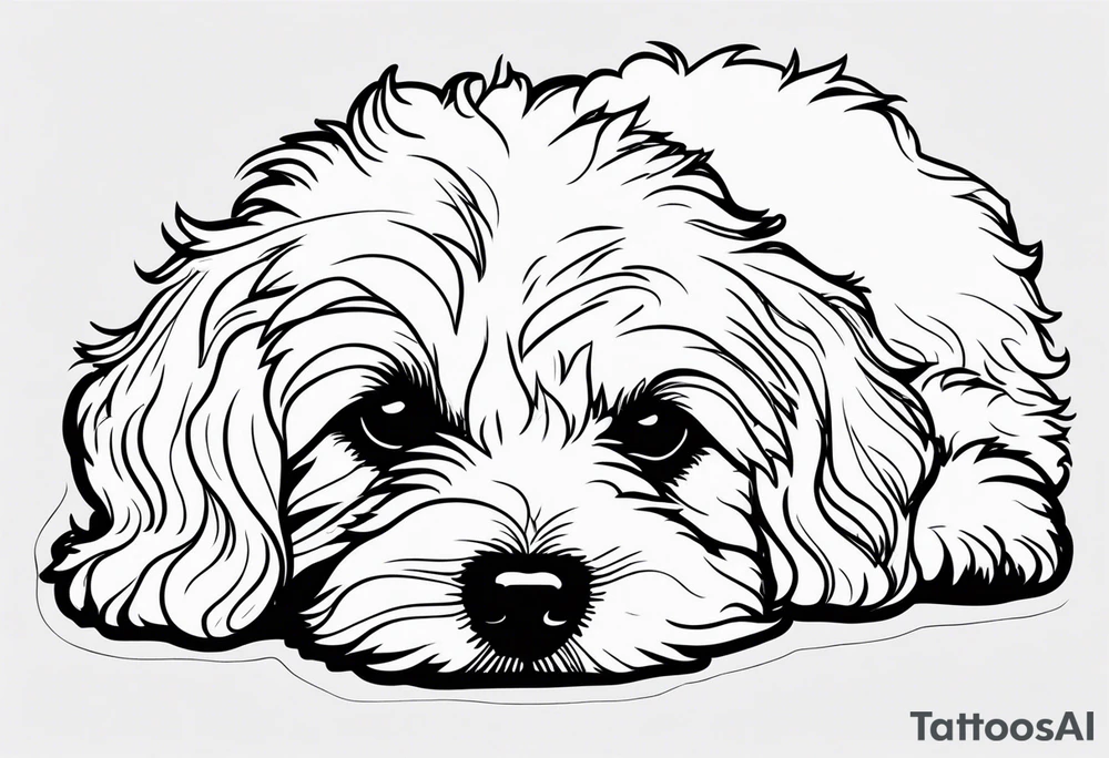 One line drawing of maltipoo laying down tattoo idea