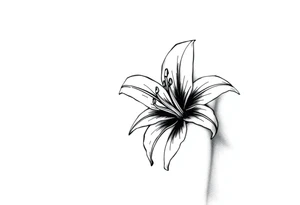 Lilly 16.05.23 tattoo idea