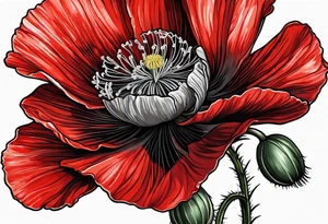 Red poppy flower for bicep tattoo tattoo idea