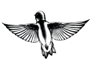 view of a swallow from behind. the bird should be diving with its wings fully forward. the bird should be looking straight forward tattoo idea