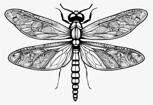 dragonfly tattoo idea