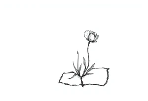 Simple line drawing style poppy growing up from cracks in pavement watercolor-esque coloring on poppy only back of ankle/heel or back of upper arm tattoo idea