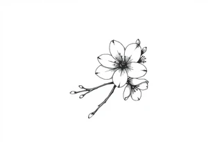 Cherry blossom with round petals tattoo idea
