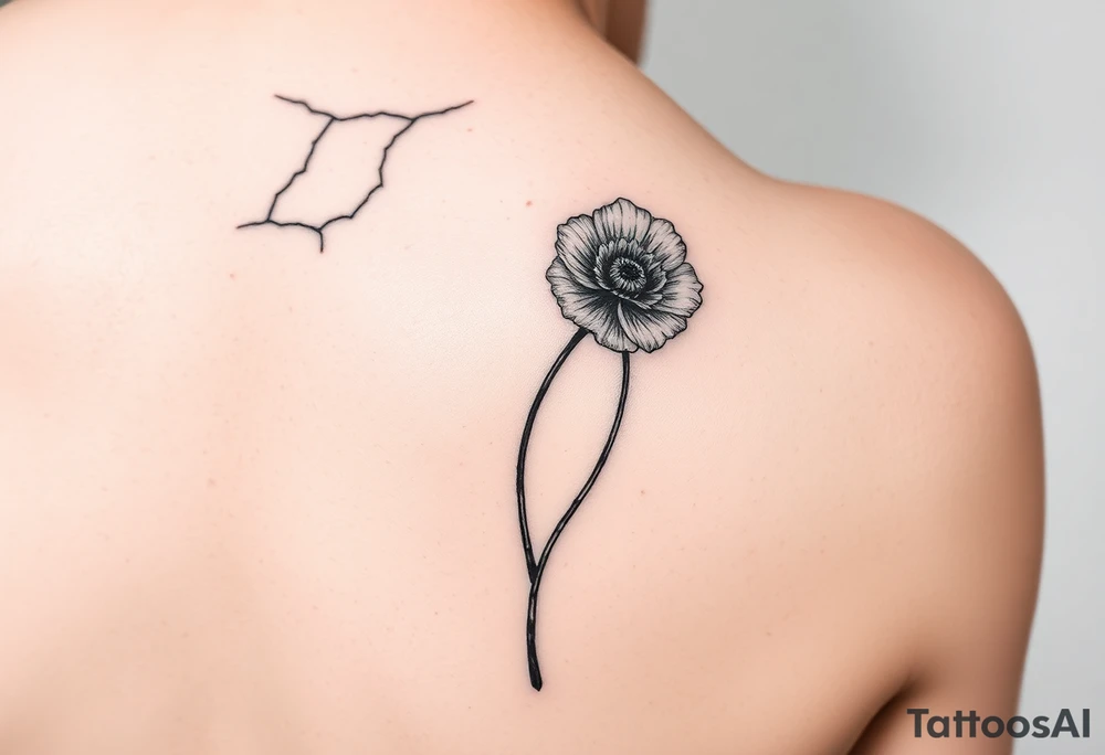 Crack in pavement at top of elbow (mostly horizontal cracks), poppy growing up back of upper arm. Airbrush flower (red). One line drawing tattoo idea