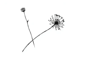 Cirsium vulgare tattoo idea