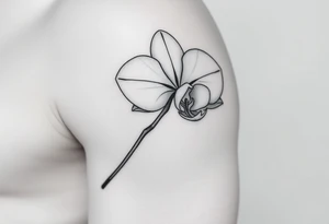 A delicate, black and white fine-line tattoo for make, featuring a gracefully detailed orchid in full bloom (stem and at least 2 flowers), with soft, intricate petals and elegant curves tattoo idea