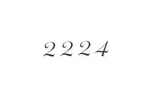 a tatto that says 224  in cyber font no decorations minimalist tattoo idea