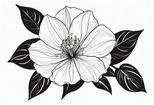Platycodon grandiflorus goes around the arm tattoo idea