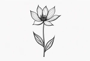 one very simple and no detailed waratha flower with stem in black and white, the few lines possible, fine-line, very minimalistic tattoo idea