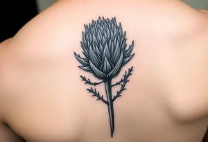 Scottish thistle tattoo idea